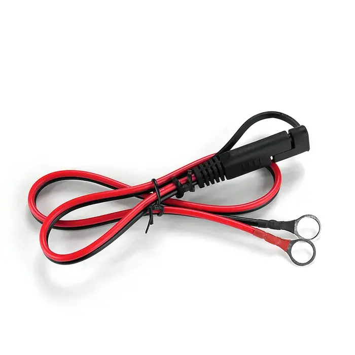 everActive CBC-10 intelligente acculader voor 12V en 24V loodaccu’s met LCD-display, druppelfunctie en uitgebreide beveiliging tot 200Ah