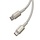 USB-C Kabel 1 meter Tungsten Gold 100W  goud