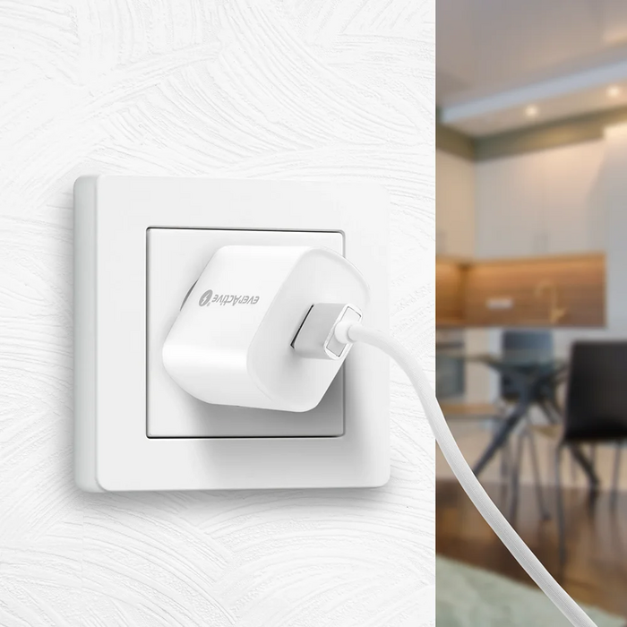 everActive SC-250Q USB-A Snellader 18W – Quick Charge 3.0 – Compact & Universeel – 1 stuk