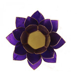 Lotus kaarshouder - violet