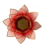 Lotus kaarshouder - rood/roze (tweekleurig)
