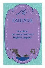 Schatgravers (kaartspel)