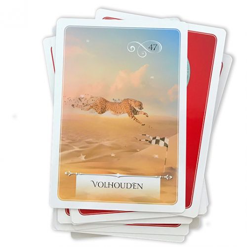 Wijsheid van het orakel