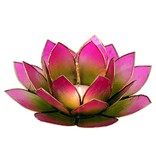 Lotus kaarshouder - groen/roze (tweekleurig)