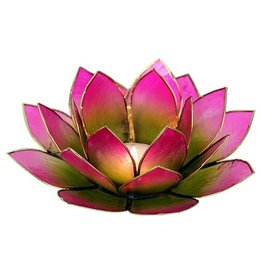 Lotus kaarshouder - groen/roze (tweekleurig)