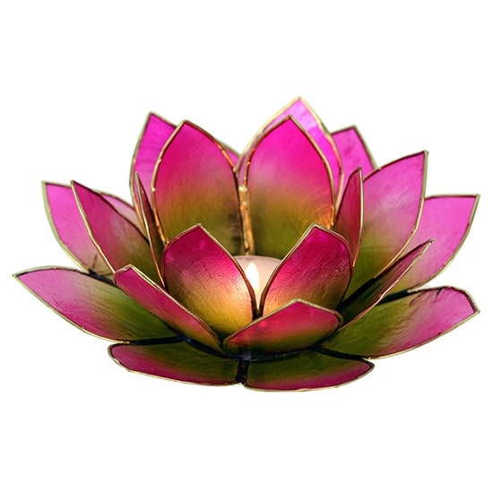 Lotus kaarshouder - groen/roze (tweekleurig)