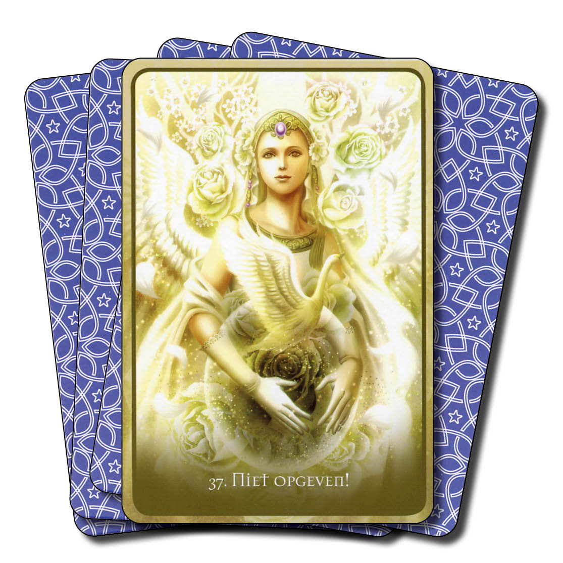 Vraag hulp aan de engelen (orakel voor tieners)