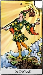 Rider Waite Set (kaarten met boek)