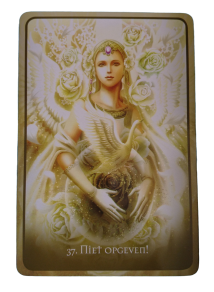 De helende kracht van engelen