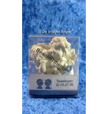 Igor engeltje sterrenbeeld - Tweeling