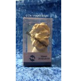 Igor engeltje sterrenbeeld - Vissen