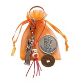 Buideltje Geluk Goede Reis