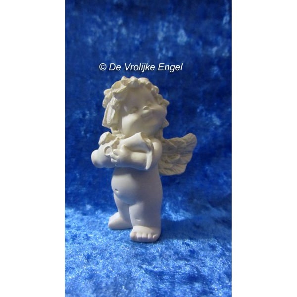 Igor engeltje sterrenbeeld - Waterman