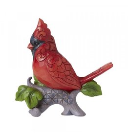 Cardinal on Branch