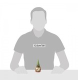 Jim Shore beeldje Elf Gnome (kerstgnoom)
