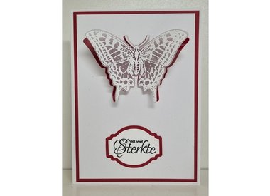 Wenskaarten door Paula Sauerbreij