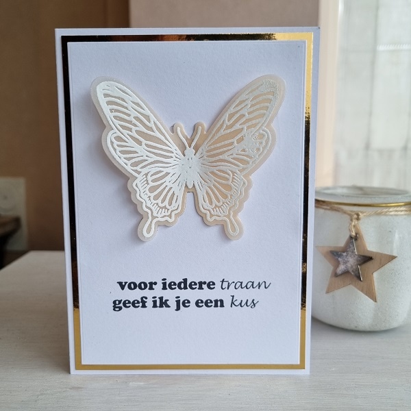 Wenskaart vlinder - voor iedere traan geef ik je een kus