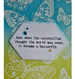 Wenskaart - caterpillar, butterfly (rups, vlinder)