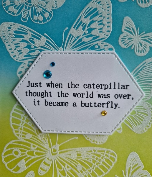 Wenskaart - caterpillar, butterfly (rups, vlinder)