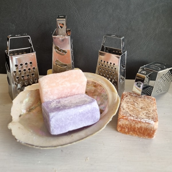 Abalone Schelp Haliotis Diversicolor