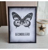 Wenskaart - gecondoleerd (grote vlinder)