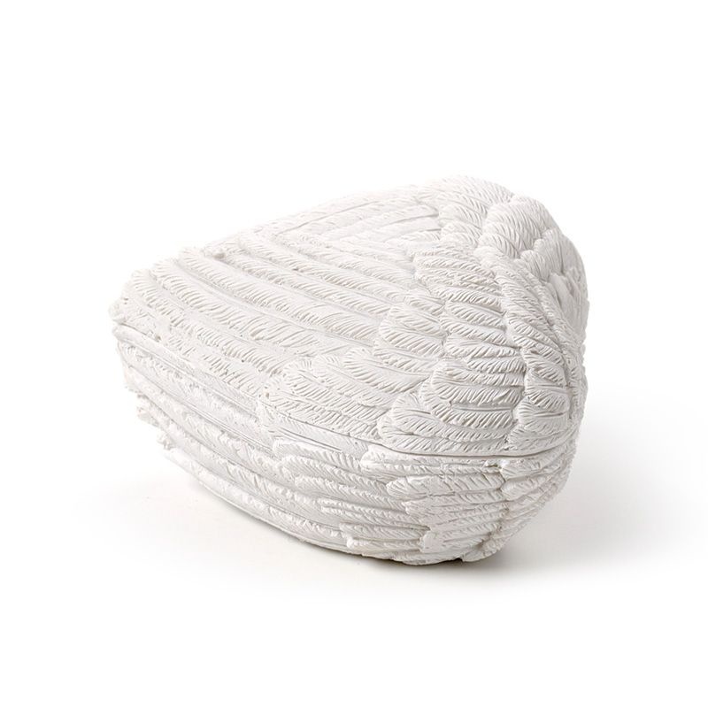 Bewaardoosje engelen vleugels