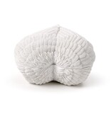 Bewaardoosje engelen vleugels