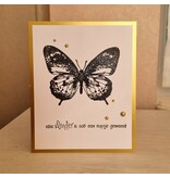 Wenskaart - elke vlinder is ooit een rupsje geweest