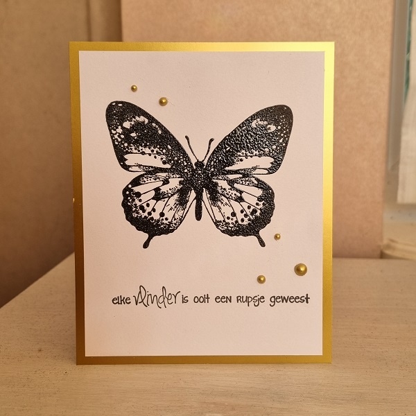 Wenskaart - elke vlinder is ooit een rupsje geweest