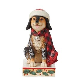 Highland Glen Dog with Plaid Scarf