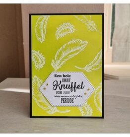 Kaart - Een hele dikke knuffel voor jullie (witte veertjes)