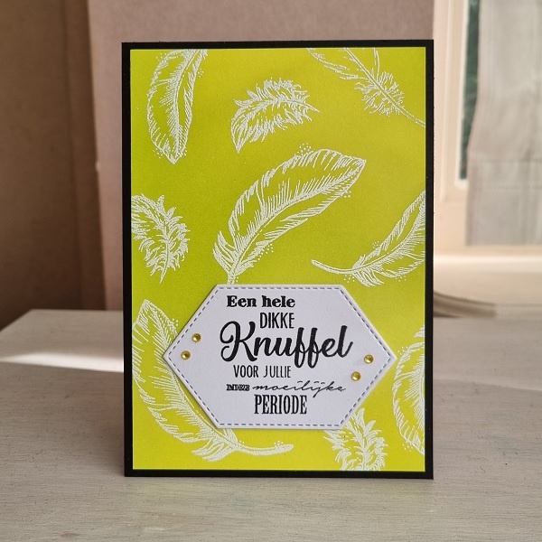 Wenskaart - Een hele dikke knuffel voor jullie in deze moeilijke periode