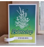 Wenskaart - Beterschap (met geheime boodschap)