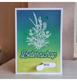 Wenskaart - Beterschap (met geheime boodschap)