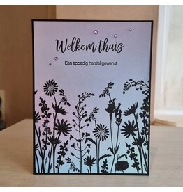 Kaart - Welkom thuis (spoedig herstel)