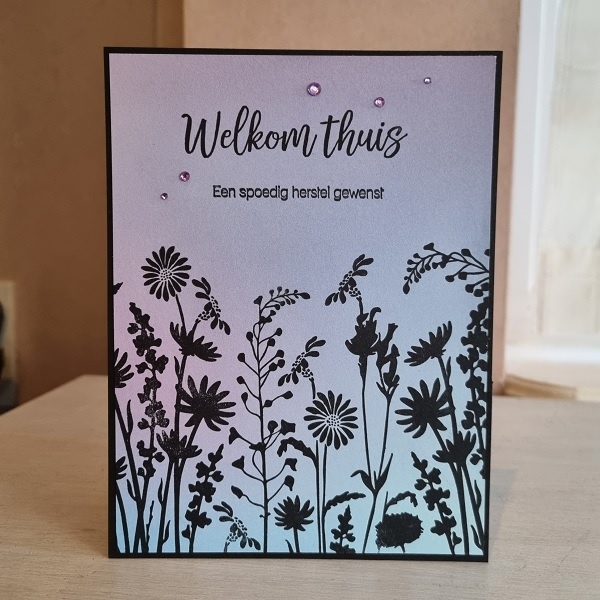 Wenskaart - Welkom thuis (een spoedig herstel gewenst)