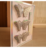 Wenskaart - gecondoleerd (3 pop-up vlinders)