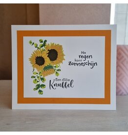 Kaart - Een dikke knuffel (na regen komt...)