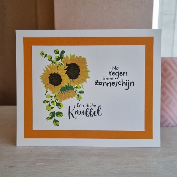 Wenskaart - Na regen komt zonneschijn, een dikke knuffel