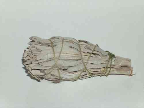 Smudgestick witte salie 10 cm  (1 stuk!)