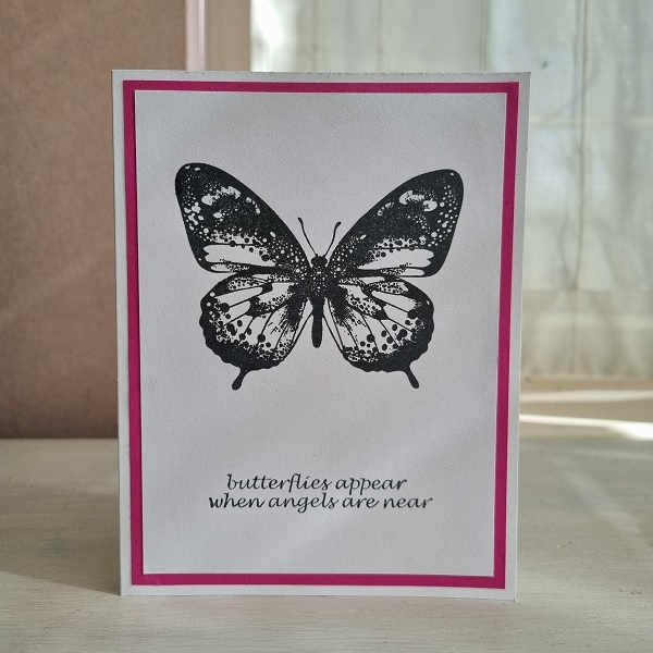 Wenskaart - Butterflies appear (diverse kleuren)