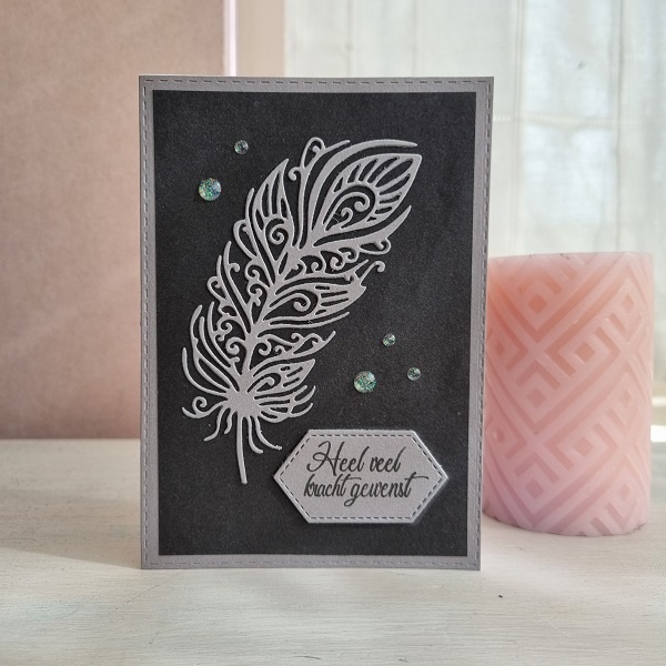 Wenskaart - Heel veel kracht gewenst (veer)