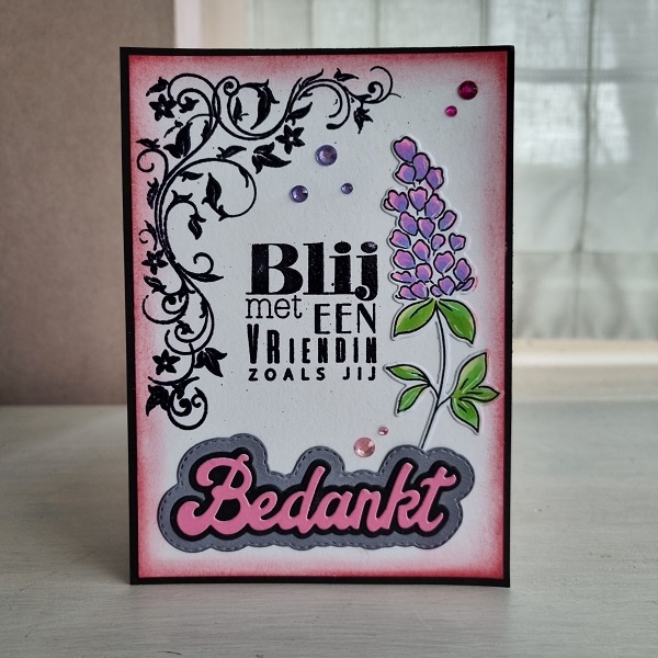 Wenskaart - Blij met een vriendin zoals jij (bedankt)