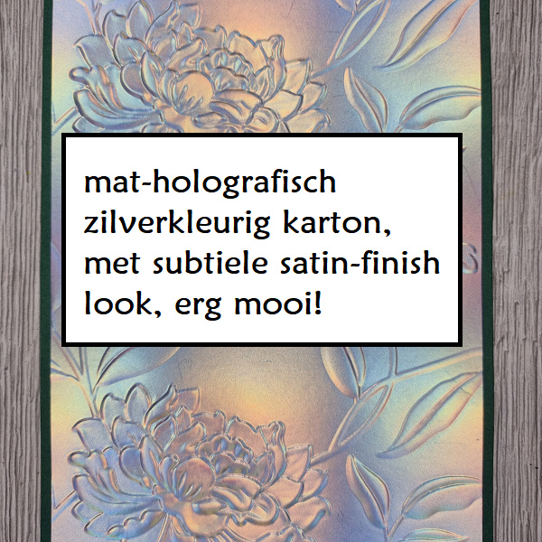 Wenskaart - hartelijk gefeliciteerd (relief bloemen)
