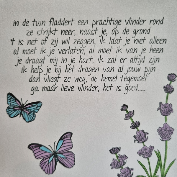 Wenskaart - Ga maar lieve vlinder