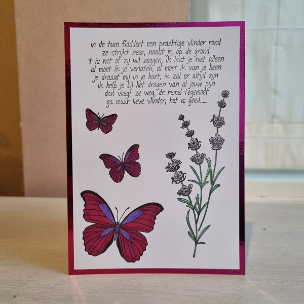 Wenskaart - Ga maar lieve vlinder
