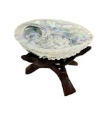 Cobra standaard (diverse kleuren en maten)