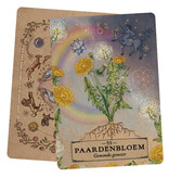 Het Kruiden Astrologie Orakel