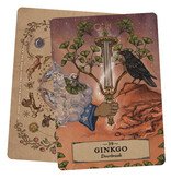 Het Kruiden Astrologie Orakel