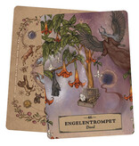 Het Kruiden Astrologie Orakel